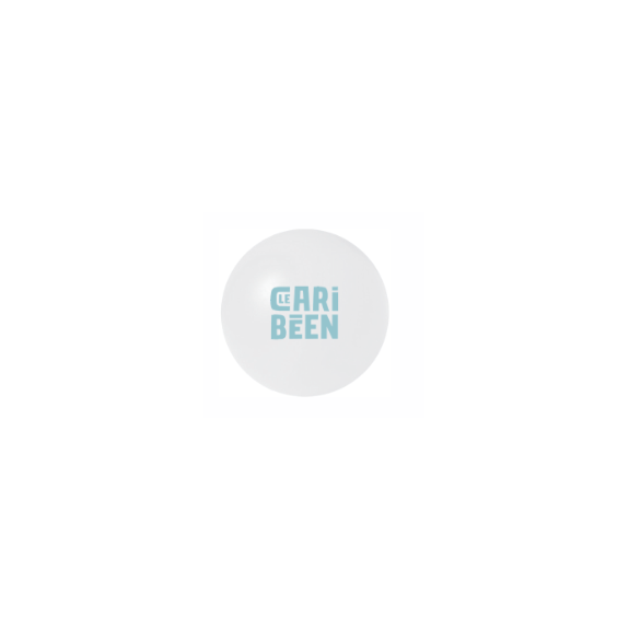 Lot de 300 balles antistress Le Caribéen
