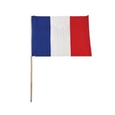 Drapeau 45 x 30 cm avec hampe en bois France
